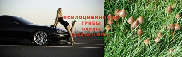 apvp Киренск