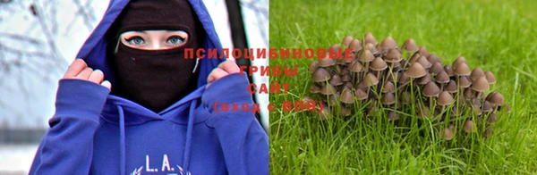 apvp Киренск