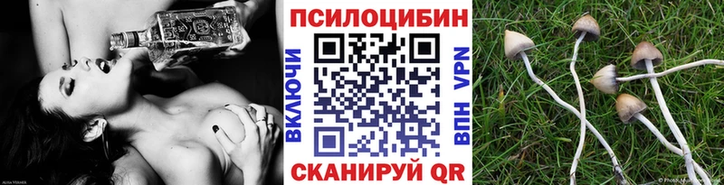 Псилоцибиновые грибы ЛСД Купить Валдай
