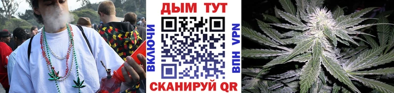 Купить где Валдай Бошки Шишки ГИДРОПОН